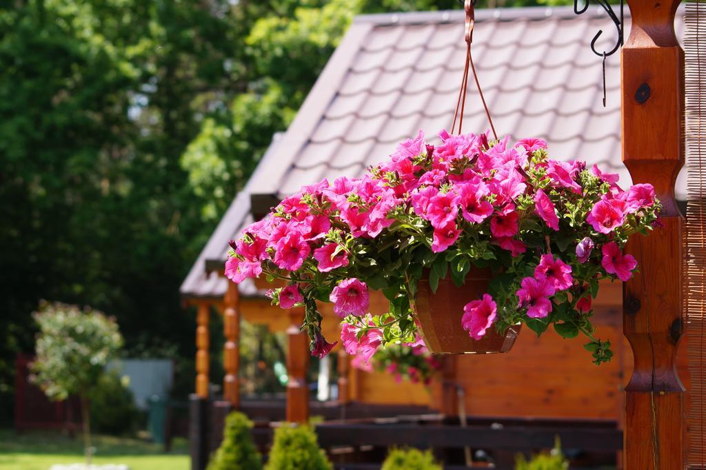 3 Deby Lodge Jaroslawiec